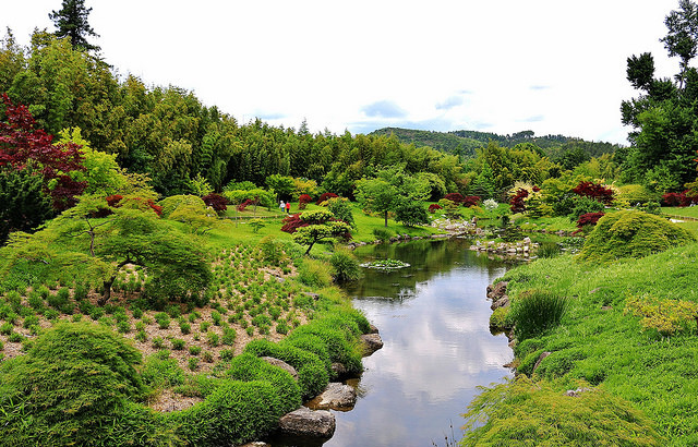 Jardin Japonnais